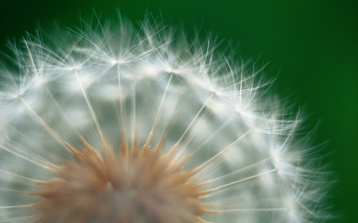 447585 (a): :2560x1600